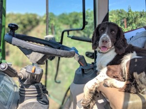 PHOTO-2019-09-13-08-04-33