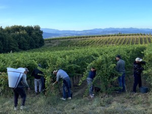 Cers and Ceres conspire to give a harvest-perfect day.