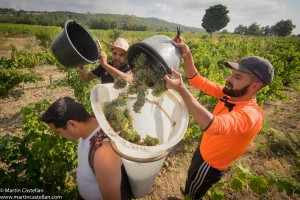 Mauzac Monday photo by Martin Castellan